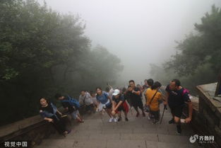 机器人助力，游客轻松登泰山